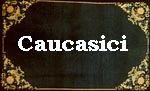 caucasici